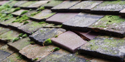 Ysbyty Ystwyth roof repair costs
